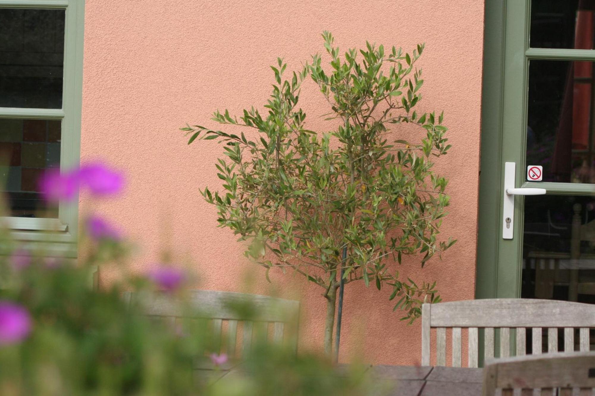 B&B La Cle Du Sud Merelbeke Zewnętrze zdjęcie