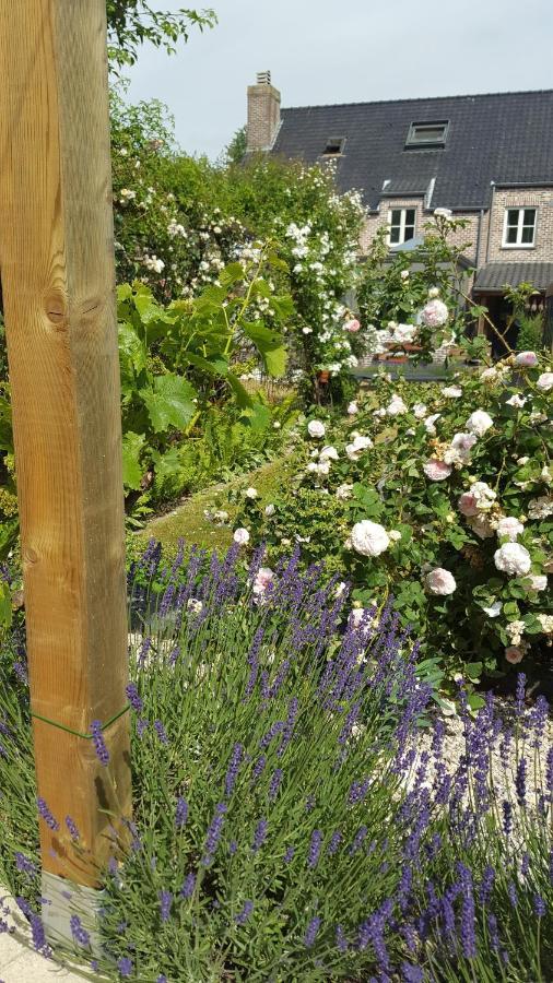 B&B La Cle Du Sud Merelbeke Zewnętrze zdjęcie