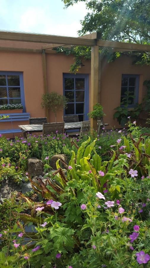 B&B La Cle Du Sud Merelbeke Zewnętrze zdjęcie