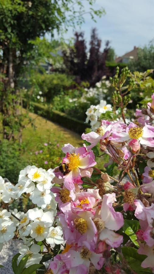 B&B La Cle Du Sud Merelbeke Zewnętrze zdjęcie